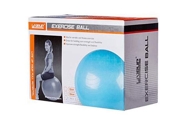 EXERCISE BALL